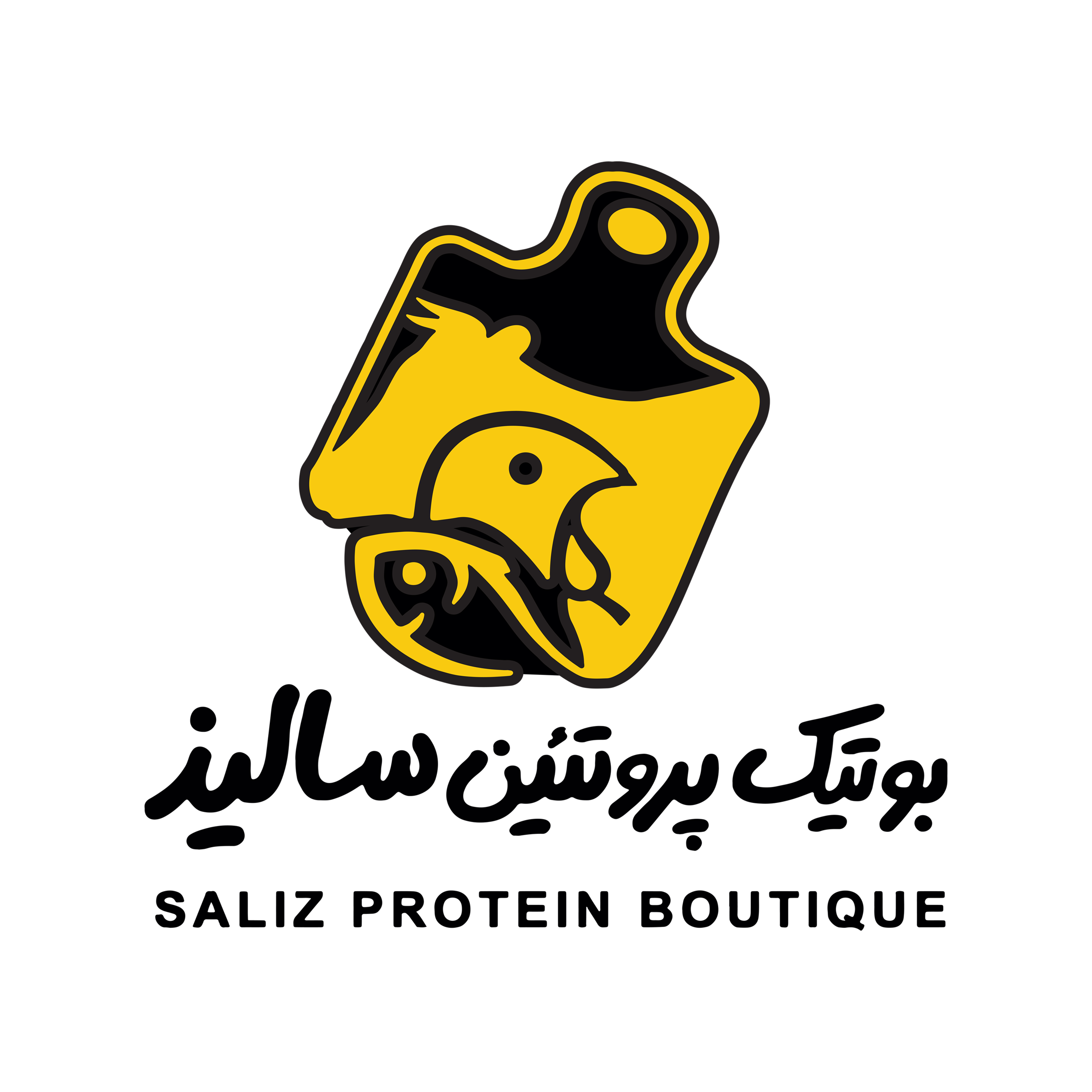بوتیگ پروتئین سالیذ